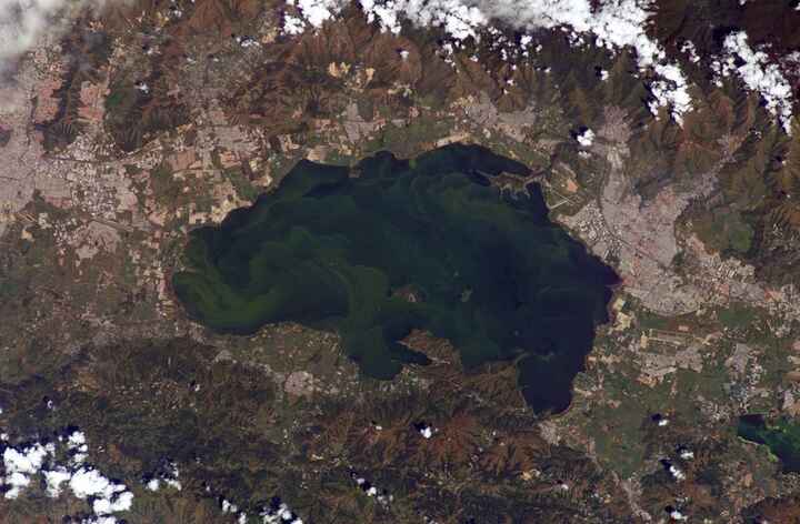 Le lac Valencia (Venezuela) recueille des effluents agricoles, industriels et urbains. Les efflorescences algales sont détectables par satellite.